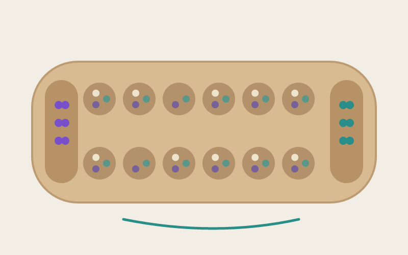 Mancala game cover illustration